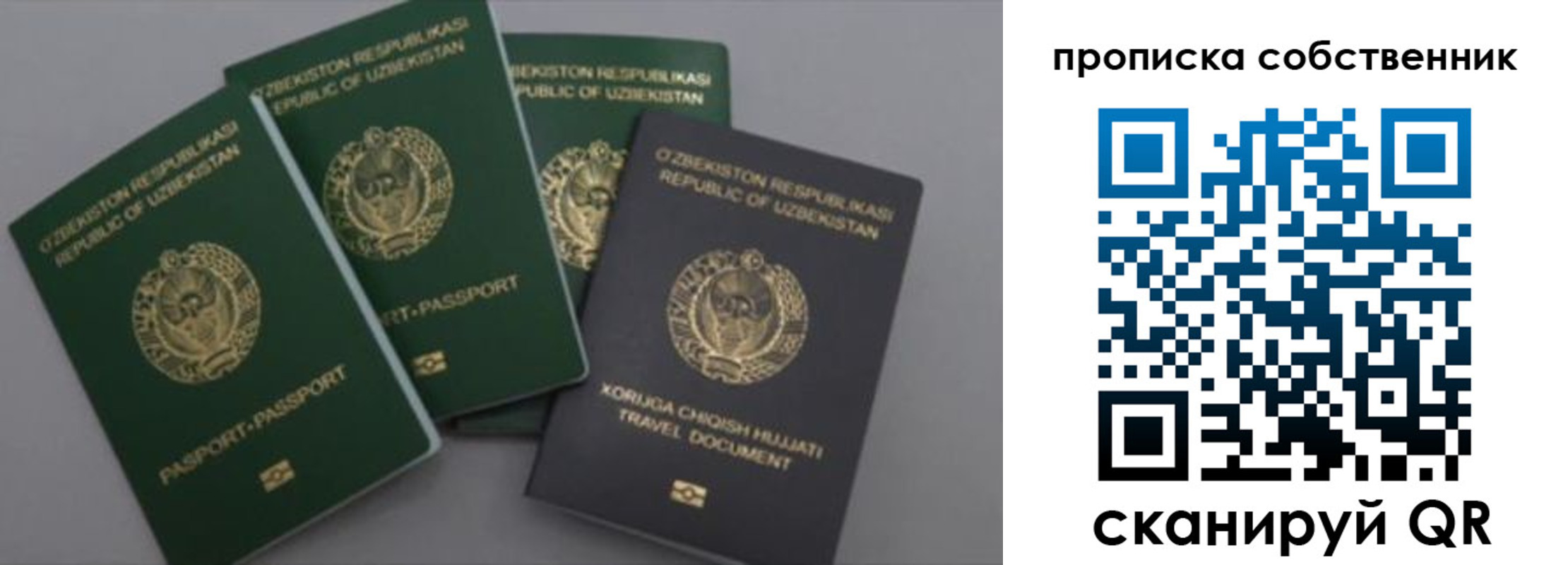 прописка штамп в Чкаловске